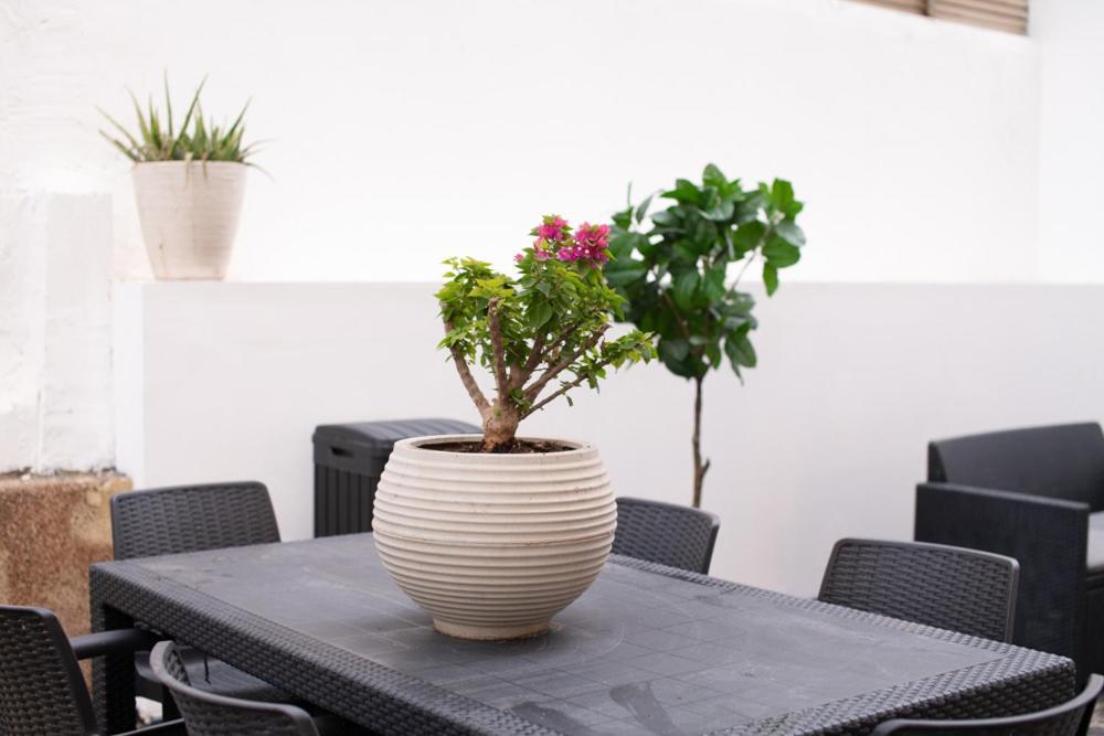 Sublet Tlv 270 Apartman Tel-Aviv Kültér fotó